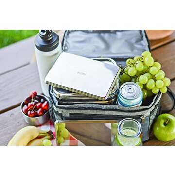 Ecozoi Stainless Steel Ice Packs - Sustainable & Stylish