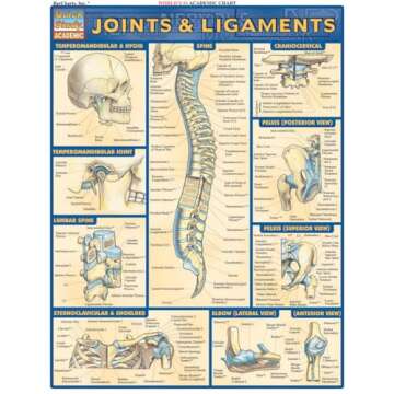 Joints & Ligaments QuickStudy Laminated Reference Chartce (QuickStudy Academic)