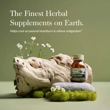 Gaia Herbs Reflux Relief - with Marshmallow Root, Chamomile, Aloe, Licorice, and High Mallow - Helps with Occasional Heartburn and Relieve Indigestion - 45 Chewable Tablets (45-Day Supply)