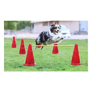 Etna Dog Agility Hurdle Set - 6 Canine Obedience Training Exercise Cones with 3 Collapsible Metal Ba...