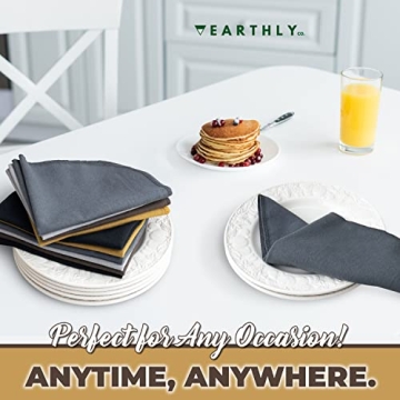 Earthly Co. Reusable Paper Towels - Eco-Friendly & Absorbent