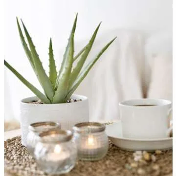 Kurrajong Farmhouse Glass Tea Light Candle Holders - 4 Small Boho Wedding Candle tealight Holders for Table Centerpiece - Votive Candle Holders - Vintage Glass Candle Holders for Home Decor