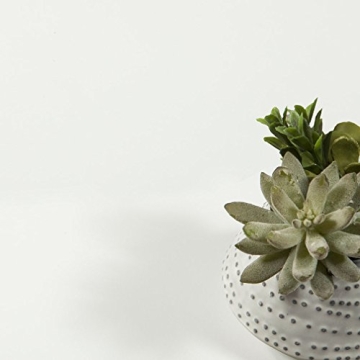 Tvilum Walden 5 Drawer Desk - Modern Scandinavian Style