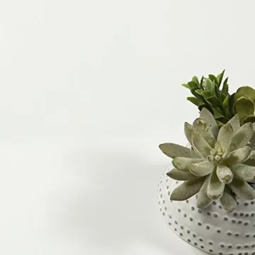 Tvilum Walden 5 Drawer Desk - Modern Scandinavian Style