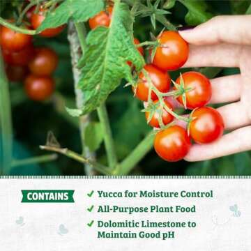 Back to the Roots Organic Potting Mix - Peat-Free and Nutrient-Rich