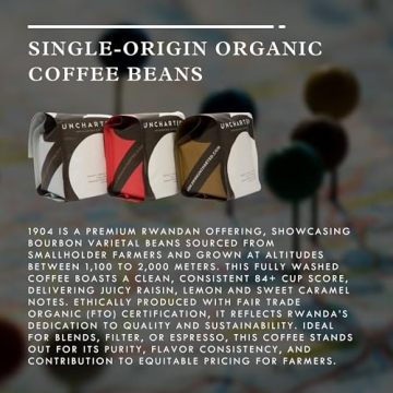Organic Coffee Beans Gift Box - 3 Pack Explorer
