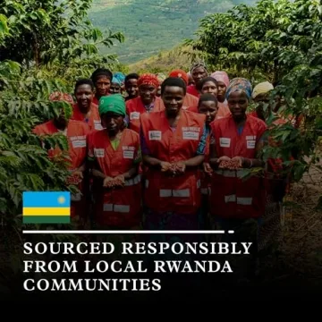 Organic Coffee Beans Gift Box - 3 Pack Explorer