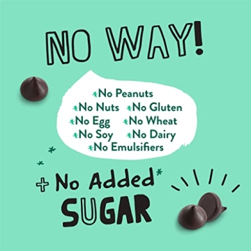 Pascha Organic Keto 70% Cacao Sugar-Free Chocolate Chips