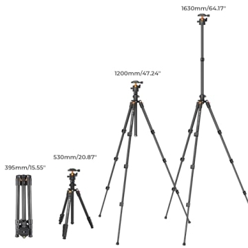 K&F Concept 64 inch/163cm Camera Tripod,Lightweight Travel Outdoor DSLR Tripods with 360 Degree Ball Head Load Capacity 8kg/17.6lbs,Cellphone Clip for Smartphone Live Streaming Vlog K234A0+BH-28L