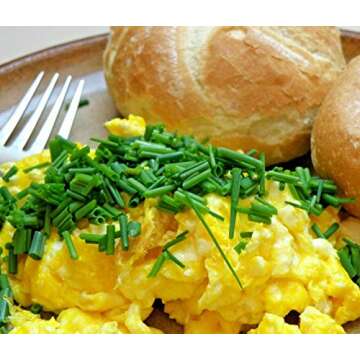 1 POUND (16 OZ) Cage-Free Whole Powdered Eggs, USDA Licensed Facility, Freshest eggs! Made in the USA, 35 Large Eggs, 1 INGREDIENT - EGGS! FARM FRESH, NON GMO, ALL NATURAL, RESEALABLE POUCH.