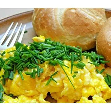 1 POUND (16 OZ) Cage-Free Whole Powdered Eggs, USDA Licensed Facility, Freshest eggs! Made in the USA, 35 Large Eggs, 1 INGREDIENT - EGGS! FARM FRESH, NON GMO, ALL NATURAL, RESEALABLE POUCH.