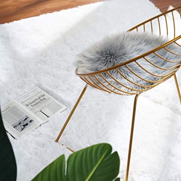 Softlife Ultra Soft Fluffy Area Rug for Kids Room