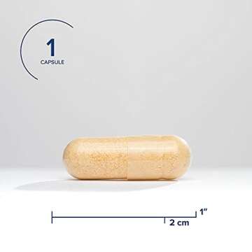 Seeking Health B Complex Plus - Energize Your Life!