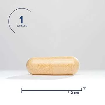 Seeking Health B Complex Plus - Energize Your Life!