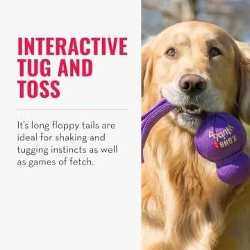 KONG Wubba - Dog Toy for Tug of War & Fetch - Dog Supplies for Puppy & Dog Playtime - Outdoor & Indoor Dog Toy - for XL Dogs