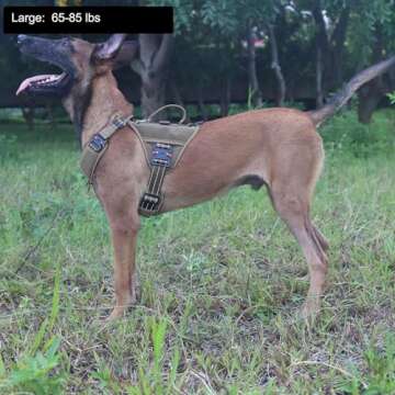 ICEFANG GN8 Tactical Dog Harness with 4X Metal Buckles for Large Sized Dogs,Reflective in Training W...