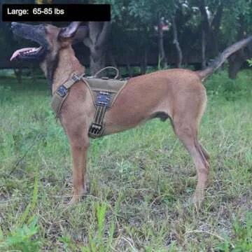 ICEFANG GN8 Tactical Dog Harness with 4X Metal Buckles for Large Sized Dogs,Reflective in Training W...