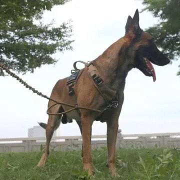 ICEFANG GN8 Tactical Dog Harness with 4X Metal Buckles for Large Sized Dogs,Reflective in Training Walking K9 Vest,No-Pull Front Leash Clip,Adjustable Pet Harness (Brown, Large (Pack of 1))