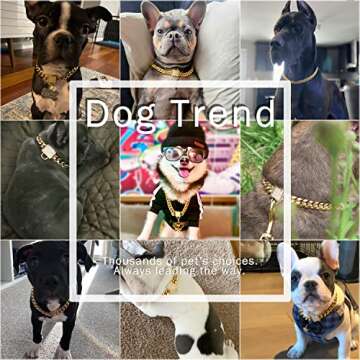 Designer Dog Collar Gold Metal Stainless Steel with Zirconia Lock 14mm 18K Gold Big Dog Luxury Train...