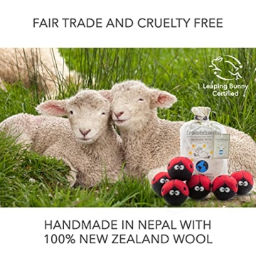 Friendsheep Organic Wool Dryer Balls 6 Pack XL - Eco-Friendly
