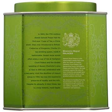 Harney & Sons Green Tea with Coconut, Ginger and Vanilla, 30 Sachets (75 g), 6.7 Ounce