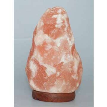 Himalayan Salt Lamp Natural Shape with Wooden Base and 6ft UL-Approved Dimmer Switch Cord - 6 to 8 Inches