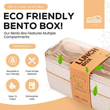 TARLINI HOME Bento Box 30oz Stylish Meal Prep Container