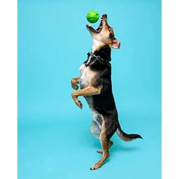 Hartz DuraPlay Bacon Scented Dog Toys, Small (Assorted Color)