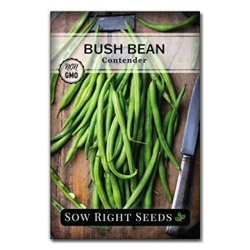 Sow Right Seeds - Contender Bush Green Bean Seeds for Planting - Non-GMO Heirloom Seed Packet - Stri...