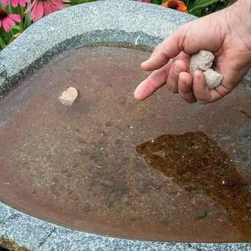 2-Pack Summit Mosquito Dunks