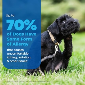 Vetnique Dermabliss Anti Itch Spray - Relief for Dogs & Cats