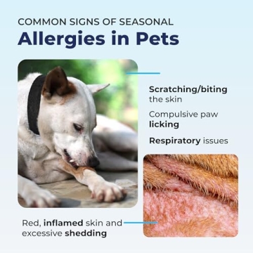 Vetnique Dermabliss Anti Itch Spray - Relief for Dogs & Cats