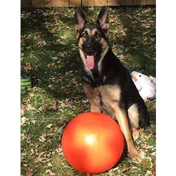 Doggie Dooley B00CIT99BC Virtually Indestructible Best Ball (hard plastic, colors may vary), All Breed Sizes , 14 inch
