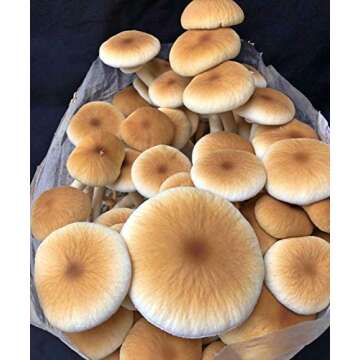 100% Soybean Hull Mushroom Pellets (Substrate) - 4 x 20 Pound Bags (80 Pounds Total)