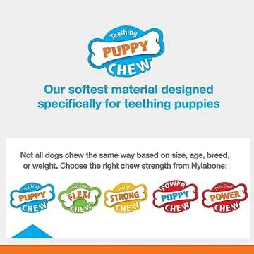 Nylabone Ring Bone Chew Toy for Puppies, Puppy Teething Toys, Chicken Flavor, Chicken Flavor, X-Small - Up to 15 lbs, 2 Pack