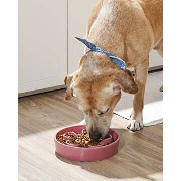 LE TAUCI Slow Feeder Dog Bowls Ceramic, 3 Cups Slow Feeding Dog Bowl Medium Large Breed, Maze Dog Bo...