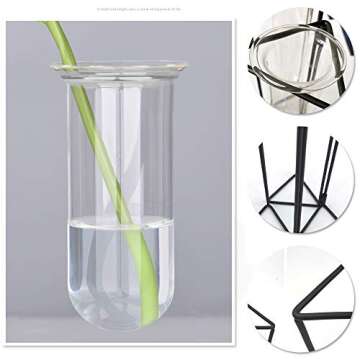 SHINA Set of 3 Test Tube Vase with Black Iron Frame Stand Creative Desktop Glass Planter Hydroponics Cylinder Clear Vase for Propagating Hydroponics Plants Flower Display Home Office Decor