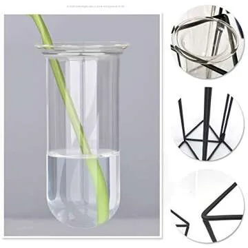 SHINA Set of 3 Test Tube Vase with Black Iron Frame Stand Creative Desktop Glass Planter Hydroponics Cylinder Clear Vase for Propagating Hydroponics Plants Flower Display Home Office Decor