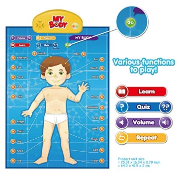 Interactive Human Anatomy Learning Toy for Kids Aged 5-12