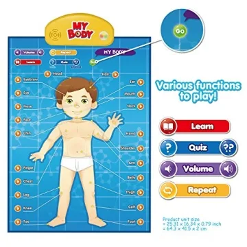 Interactive Human Anatomy Learning Toy for Kids Aged 5-12
