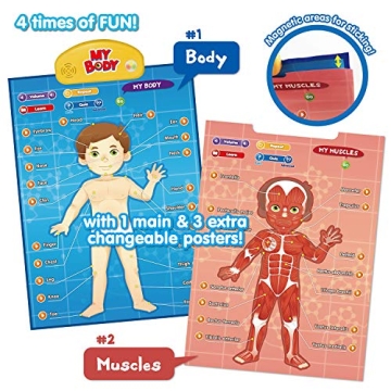 Interactive Human Anatomy Learning Toy for Kids Aged 5-12