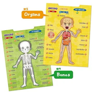 Interactive Human Anatomy Learning Toy for Kids Aged 5-12