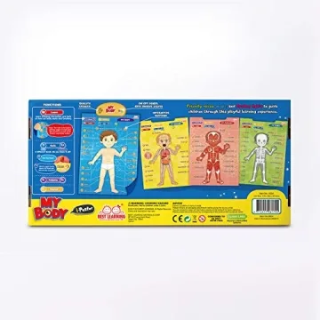 Interactive Human Anatomy Learning Toy for Kids Aged 5-12