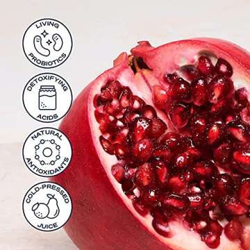 Health-Ade Kombucha Tea Organic Drink, Fermented Tea with Living Probiotics, Detoxifying Acids, Supports Gut Health, Non-GMO, Vegan, Gluten Free, 12 Pack (16 Fl Oz Bottles), Signature Variety Pack