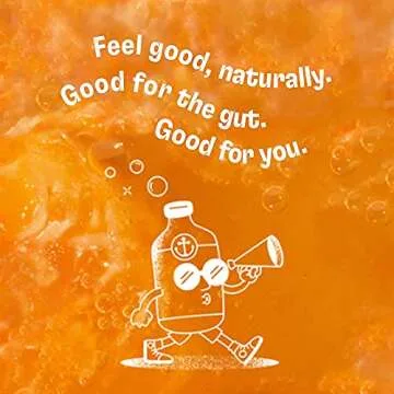 Health-Ade Kombucha Tea Organic Drink, Fermented Tea with Living Probiotics, Detoxifying Acids, Supports Gut Health, Non-GMO, Vegan, Gluten Free, 12 Pack (16 Fl Oz Bottles), Signature Variety Pack