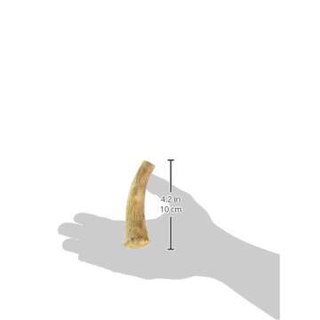 Nylabone Healthy Edibles WILD Antler Natural Long Lasting Venison Flavor Dog Chew Treats Medium/Wolf (2 Count)