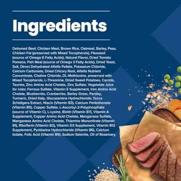 Blue Buffalo Life Protection Formula Dry Dog Food 5-lb