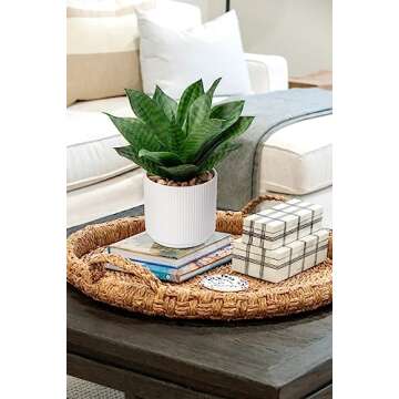 Artificial Agave Succulent Plants Faux Snake Plant Fake Succulent Agave Plant Potted in White Pot Succulent Aloe Plant for Desk Modern Office Living Room Table Shelf Home Indoor Outdoor Decor