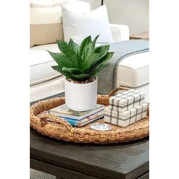 Artificial Agave Succulent Plants Faux Snake Plant Fake Succulent Agave Plant Potted in White Pot Succulent Aloe Plant for Desk Modern Office Living Room Table Shelf Home Indoor Outdoor Decor
