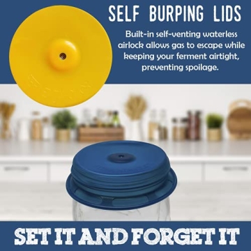 Fermentaholics Silicone Stretch Lids for Mason Jars 4 Pack